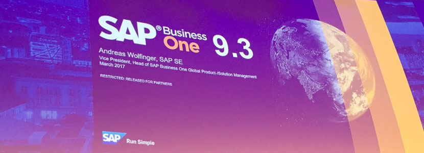 SAP Libera SAP Business One 9.3