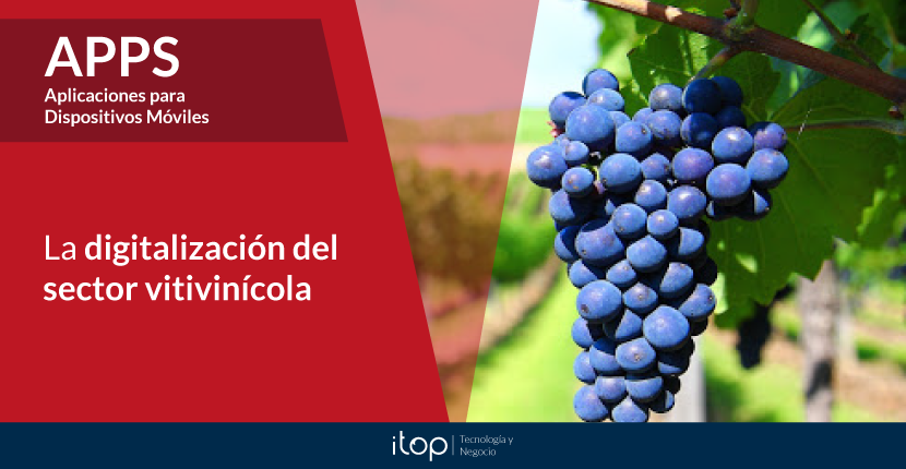 La digitalización del sector vitivinícola