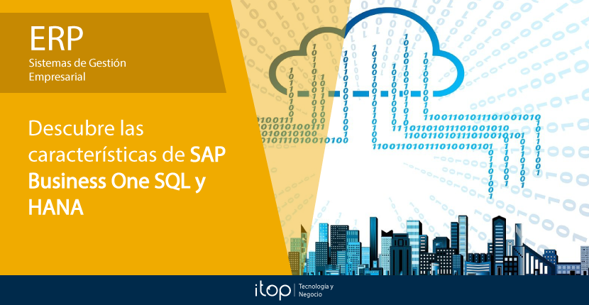 Descubre las características de SAP Business One SQL y HANA