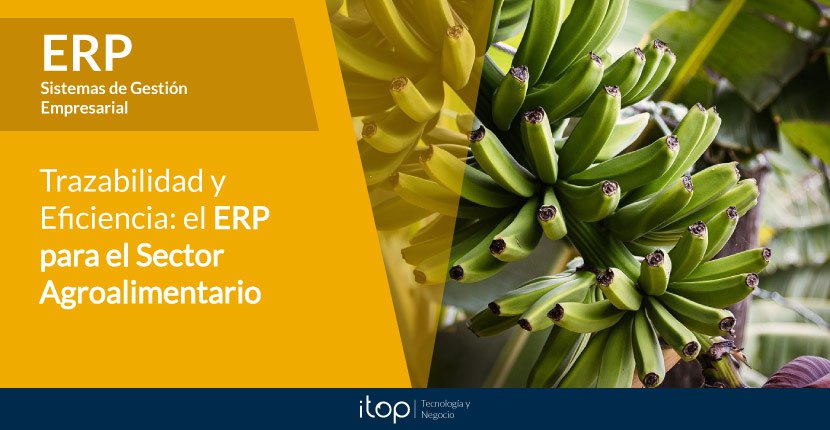 Trazabilidad y Eficiencia: el ERP para el Sector Agroalimentario