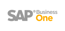 Sap Business One Itop Color