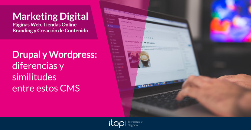  Drupal y WordPress: diferencias y similitudes entre estos CMS