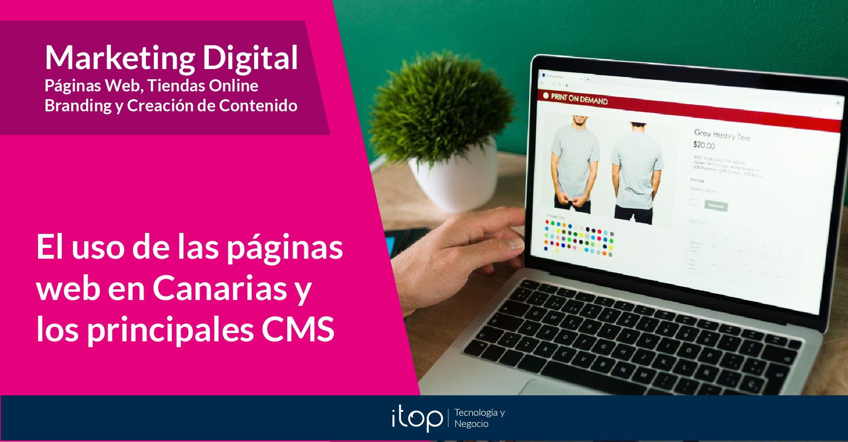 El uso de las páginas web en Canarias y los principales CMS