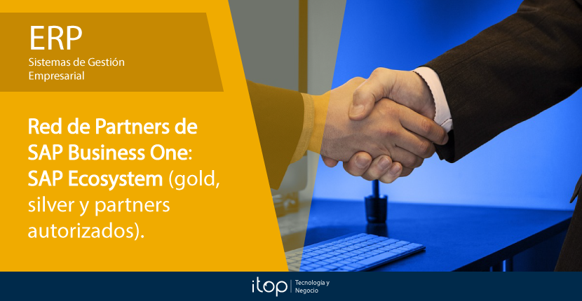 Red de Partners de SAP Business One: SAP Ecosystem