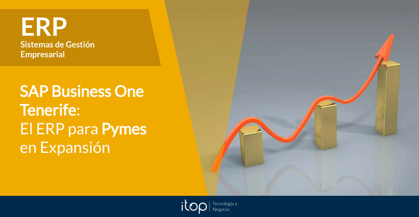 SAP Business One Tenerife: el ERP para Pymes en expansión SAP Business One Tenerife: el ERP para Pymes en expansión