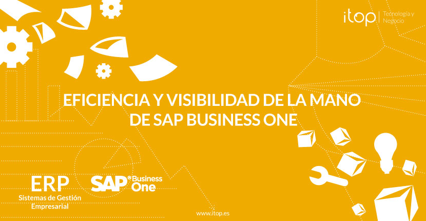 Eficiencia y visibilidad de la mano de SAP Business One