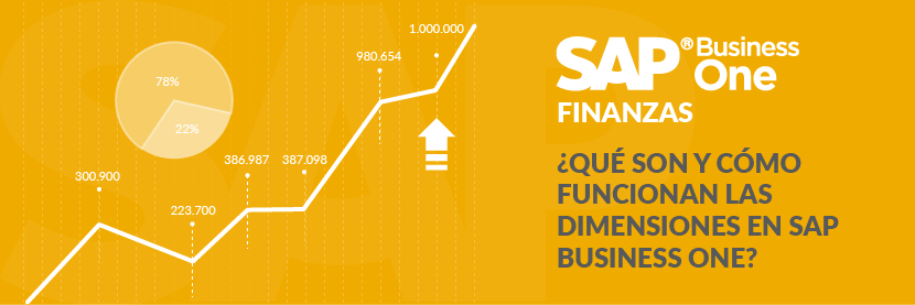 Las dimensiones en SAP Business One