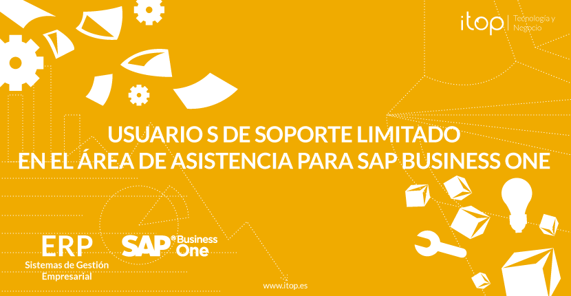 Usuario S de soporte limitado en el área de asistencia para SAP Business One