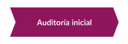 Metodología marketing - Auditoría inicial